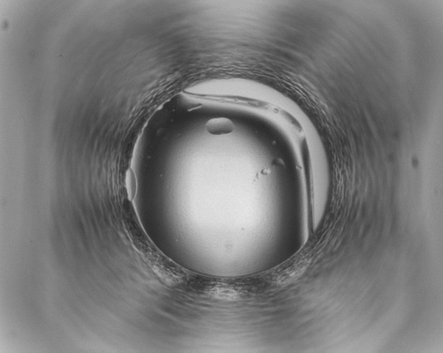 X0000087020416200705071514