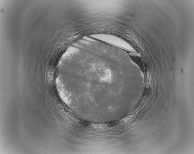 X0000087020417200705071514