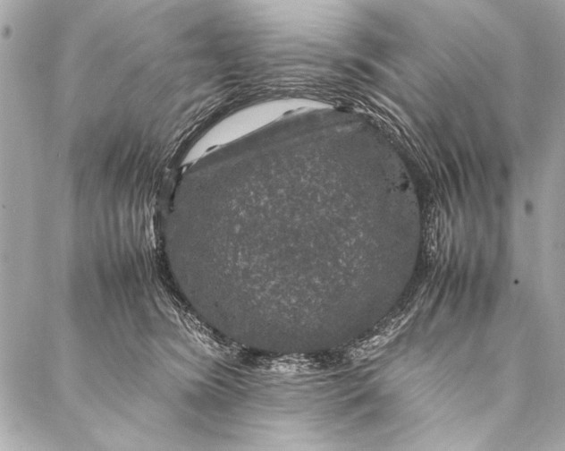 X0000087020420200705071514