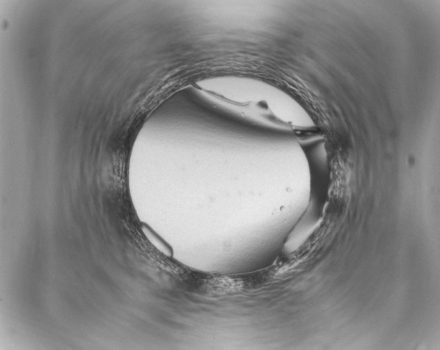 X0000087020421200705071514