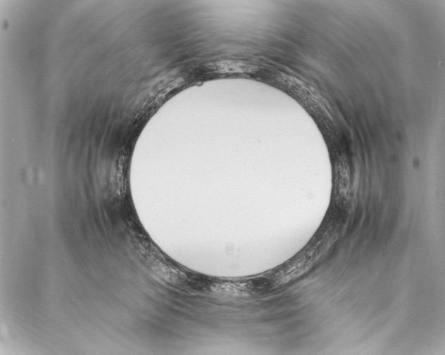 X0000087020422200705071514