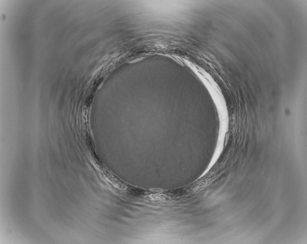 X0000087020423200705071514