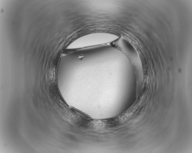 X0000087020425200705071514