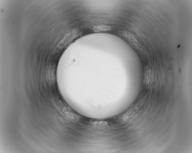 X0000087020426200705071514