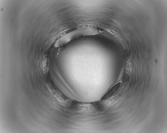 X0000087020428200705071514