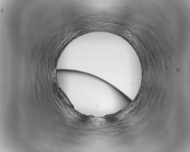 X0000087020429200705071514