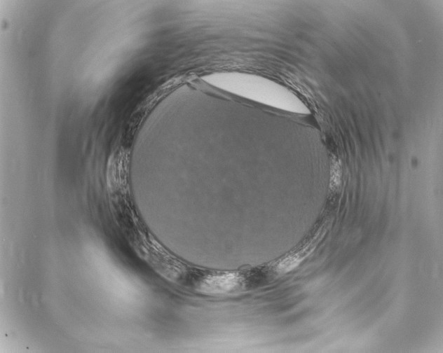 X0000087020431200705071514