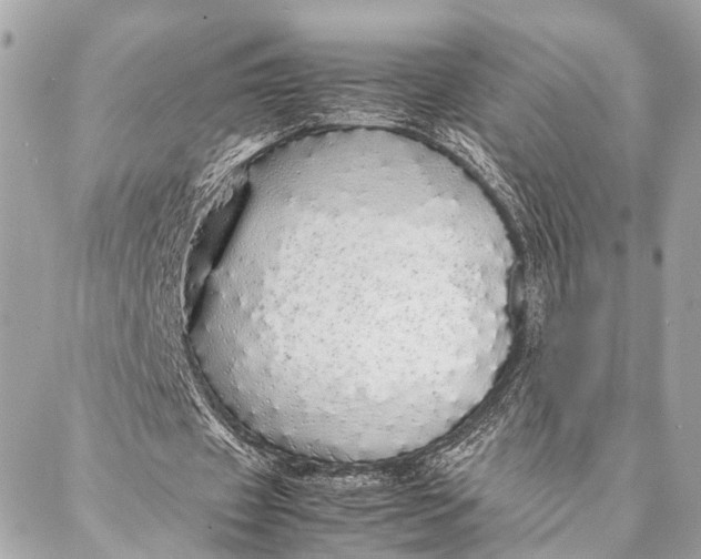 X0000087020433200705071513