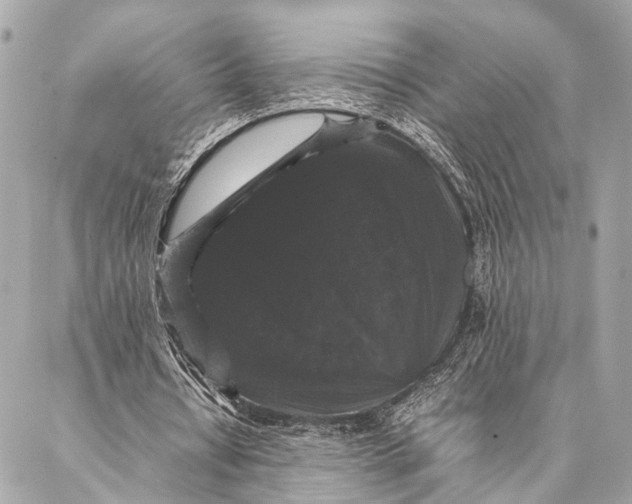 X0000087020434200705071513