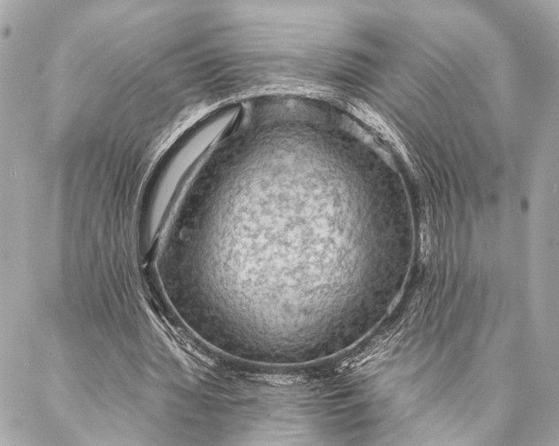 X0000087020436200705071513