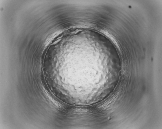 X0000087020437200705071513