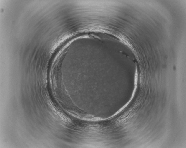 X0000087020438200705071513