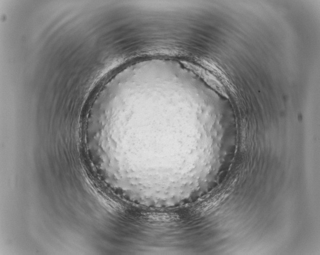 X0000087020439200705071513