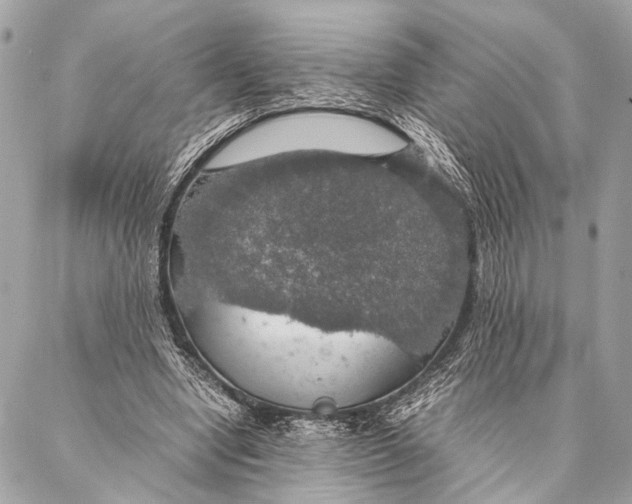 X0000087020442200705071513