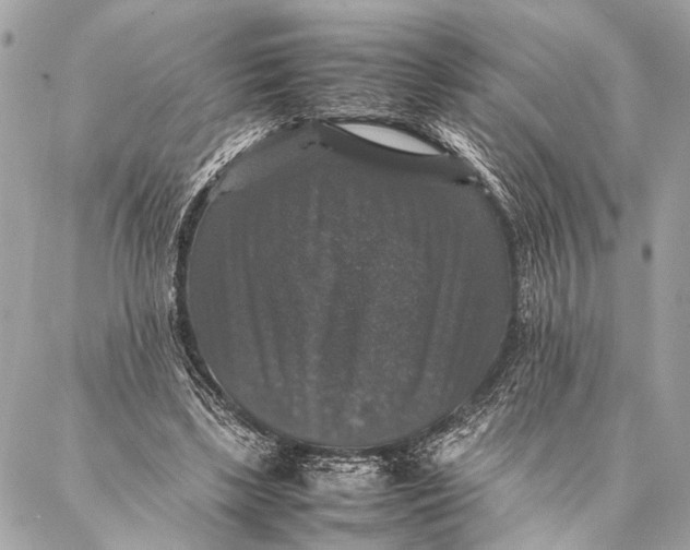 X0000087020443200705071513