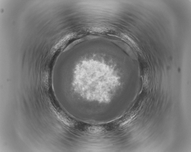 X0000087020444200705071513