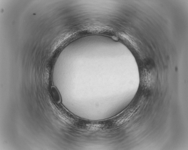 X0000087020448200705071514