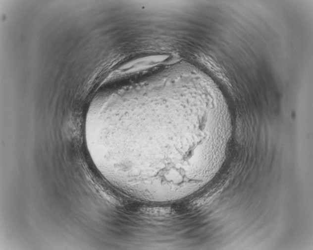 X0000087020449200705071514