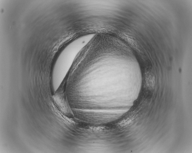 X0000087020450200705071514