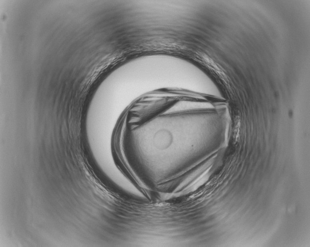 X0000087020452200705071514