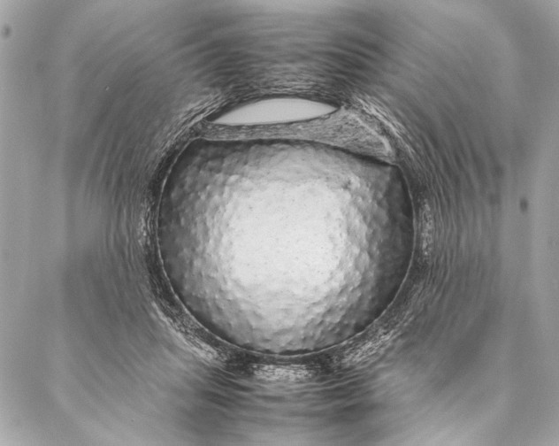 X0000087020455200705071514