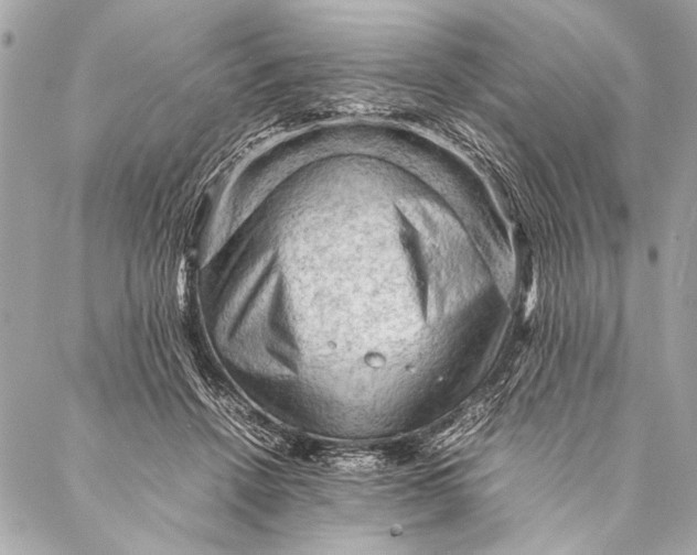 X0000087020456200705071514