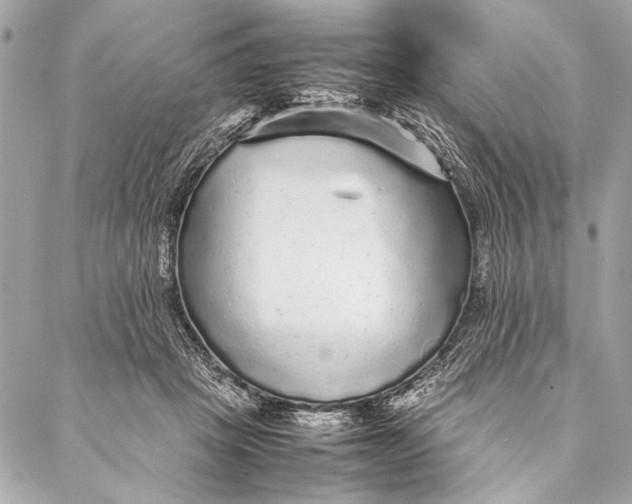 X0000087020457200705071514