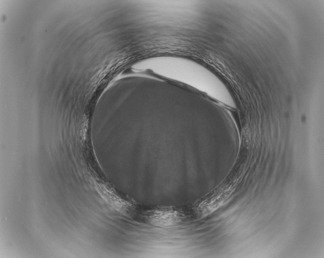 X0000087020458200705071514