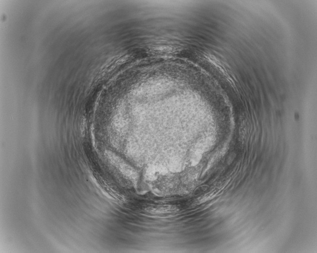 X0000087020459200705071514