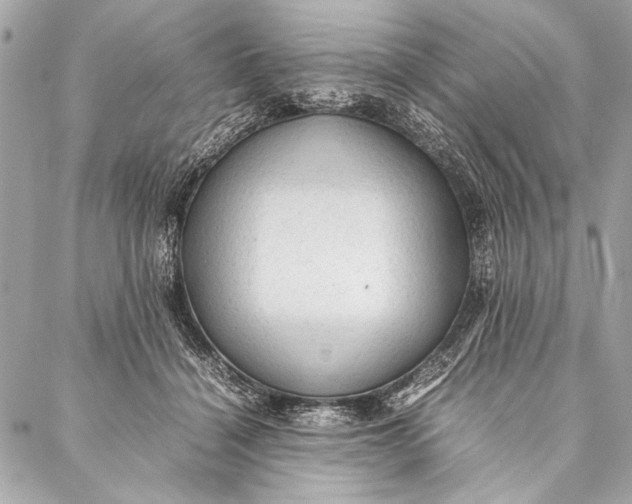 X0000087020460200705071514