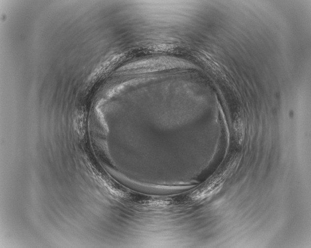 X0000087020462200705071514