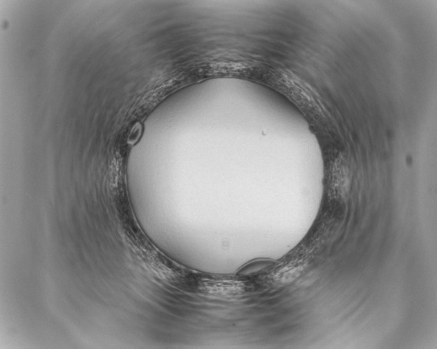 X0000087020463200705071514