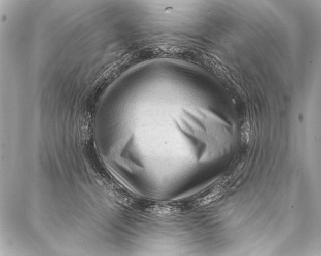 X0000087020464200705071514