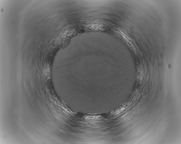 X0000087020465200705071514