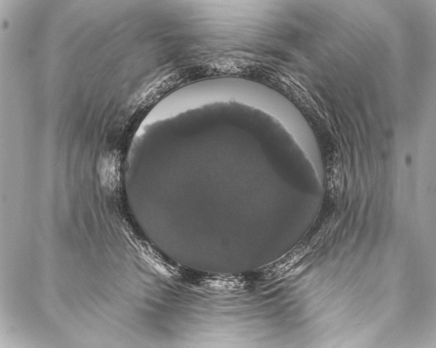 X0000087020466200705071514