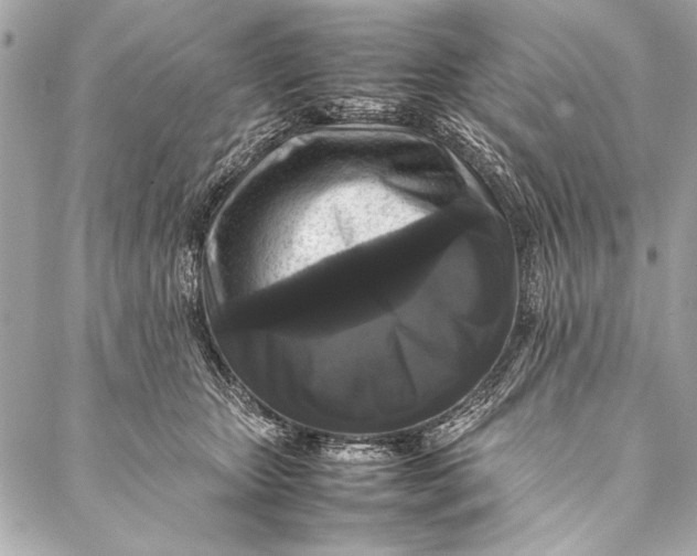 X0000087020467200705071514