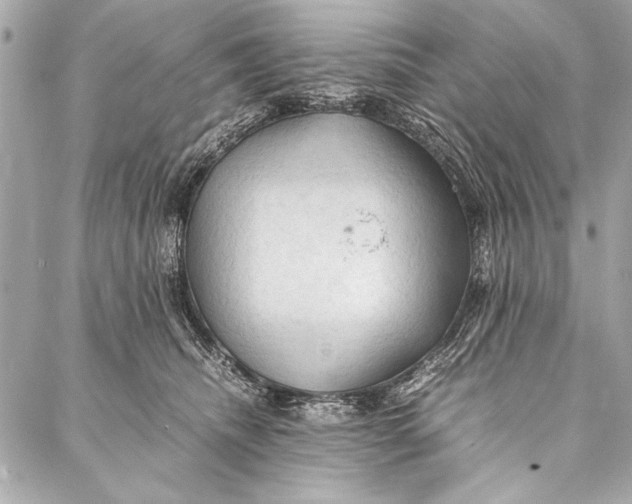 X0000087020468200705071514