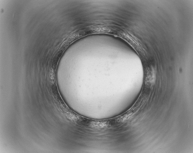 X0000087020469200705071514