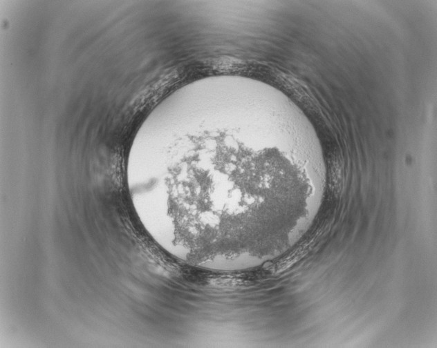 X0000087020470200705071514