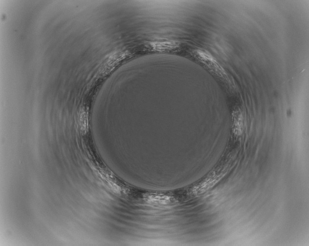 X0000087020471200705071514