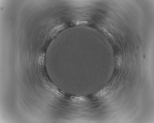 X0000087020475200705071514