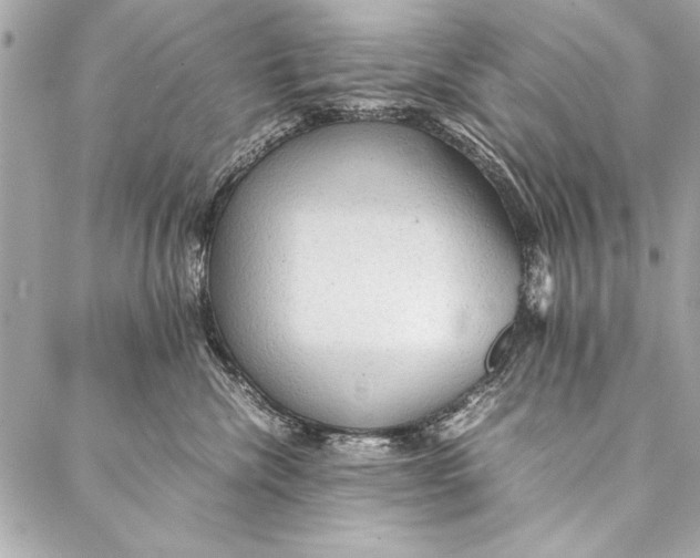 X0000087020476200705071514