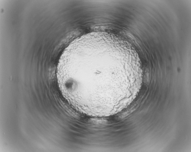 X0000087020477200705071514