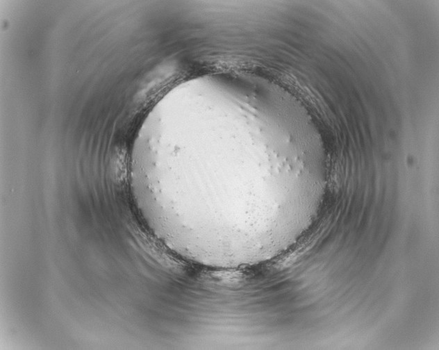 X0000087020478200705071514