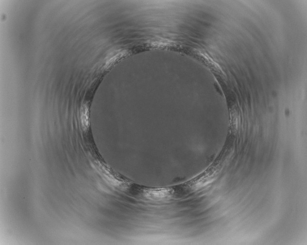 X0000087020479200705071514