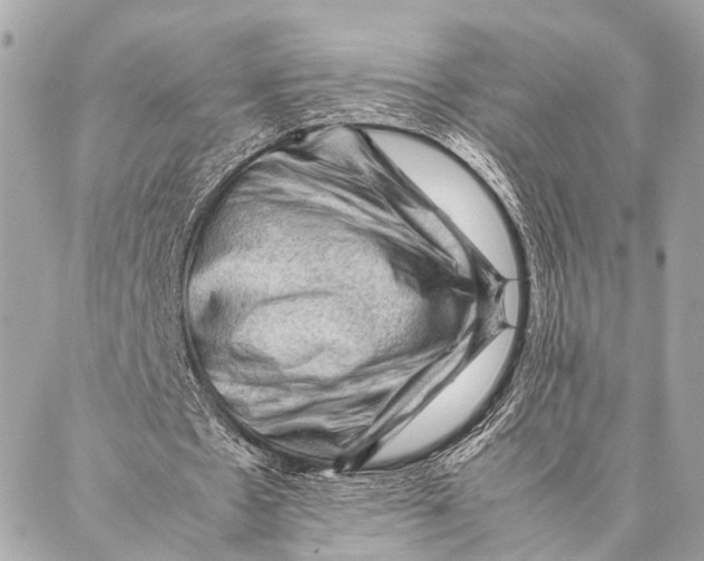 X0000087020481200705071513