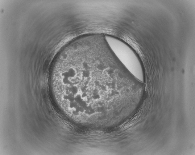 X0000087020483200705071513