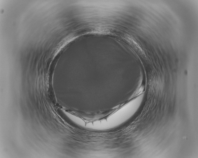 X0000087020484200705071513