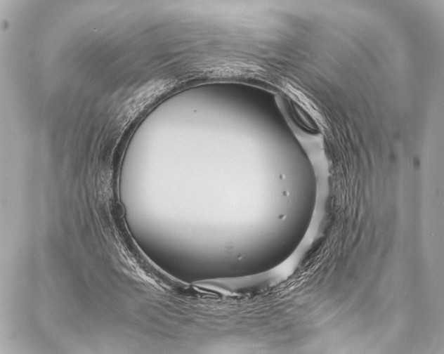 X0000087020485200705071513