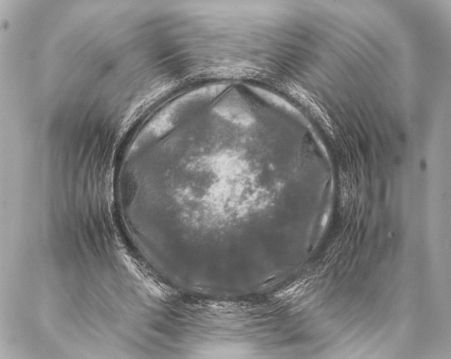 X0000087020486200705071513